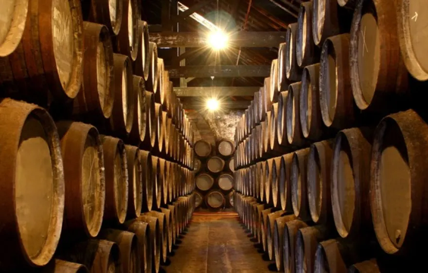 Whisky Käse Tasting Frankfurt am Main