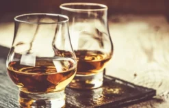 Whisky Käse Tasting Frankfurt am Main