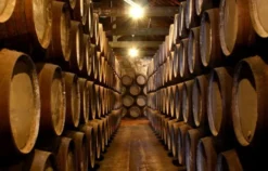 Whisky Käse Tasting Hamburg