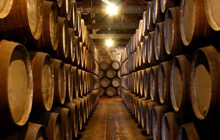 Whisky Käse Tasting Hamburg
