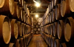 Whisky Käse Tasting Stuttgart