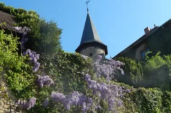 Whisky Seminar in Schlüchtern-Elm
