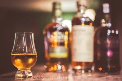 Whisky Tasting auf der Plassenburg