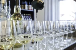 Whisky Tasting Berlin (8 High End Sorten)