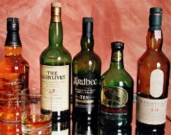 Whisky Tasting Duisburg