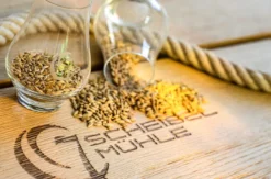 Whisky Tasting für Einsteiger Kappelrodeck