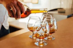 Whisky Tasting Hamburg (Premium)