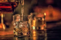 Whisky Tasting Hamburg (2,5 Stunden)