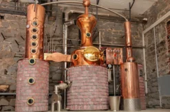 Whiskytasting in der Brennerei Hagen