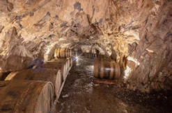 Whiskytasting in der Brennerei Hagen