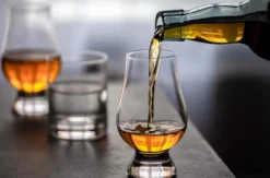 Whiskytasting in der Brennerei Hagen