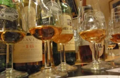 Whisky-Tasting Österreich