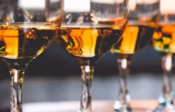 Whisky Tasting Stuttgart (6 Premium Sorten)
