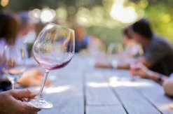 Wine & Dine Osthofen
