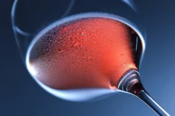 Wine & Dine Osthofen