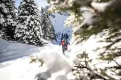 Winter Alpine Adventure Wilderswil