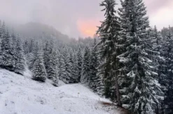 Winter-Erlebnisurlaub in Tirol für 2 (2 Nächte)