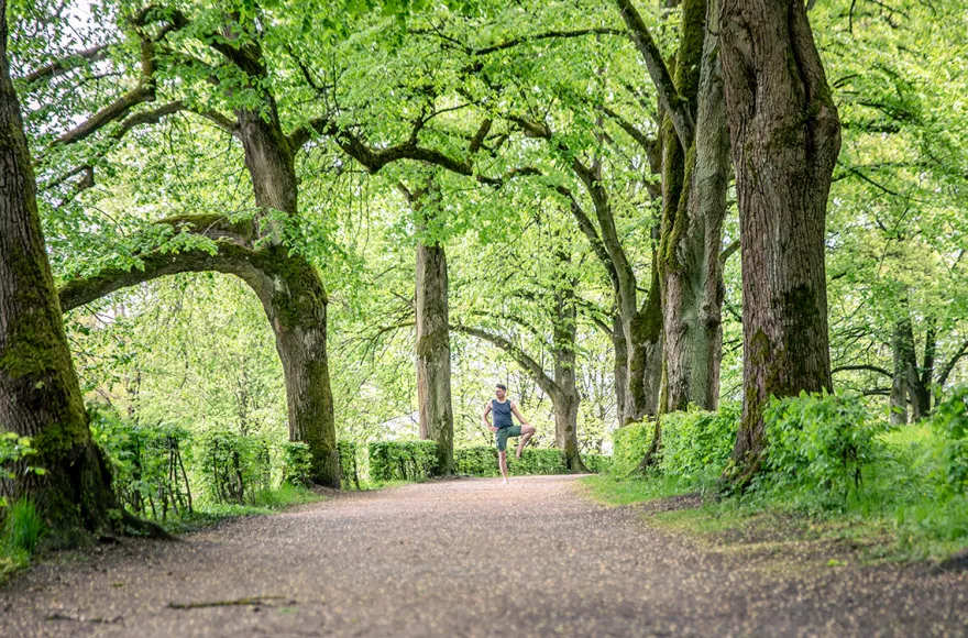 Yoga Einzelunterricht Fulda